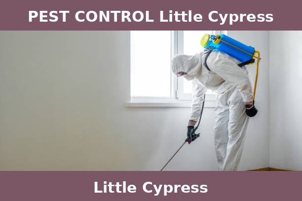 PEST CONTROL Little Cypress